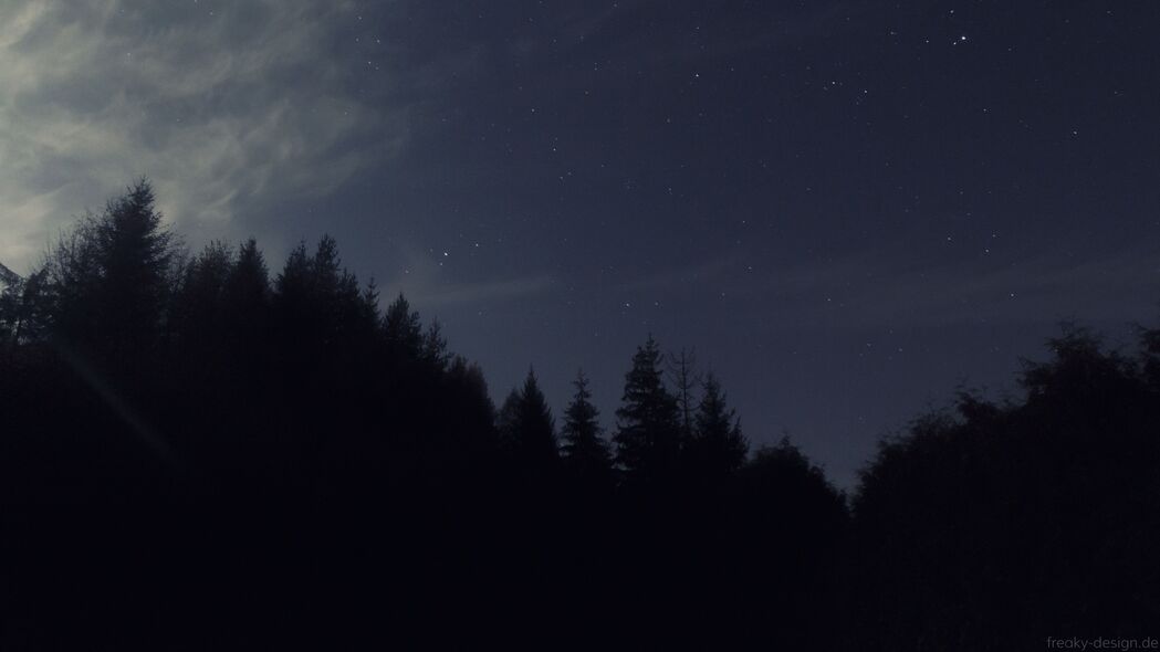 夜空下的星空与树木，绝美黑暗主题4K壁纸（3840x2160高清下载）