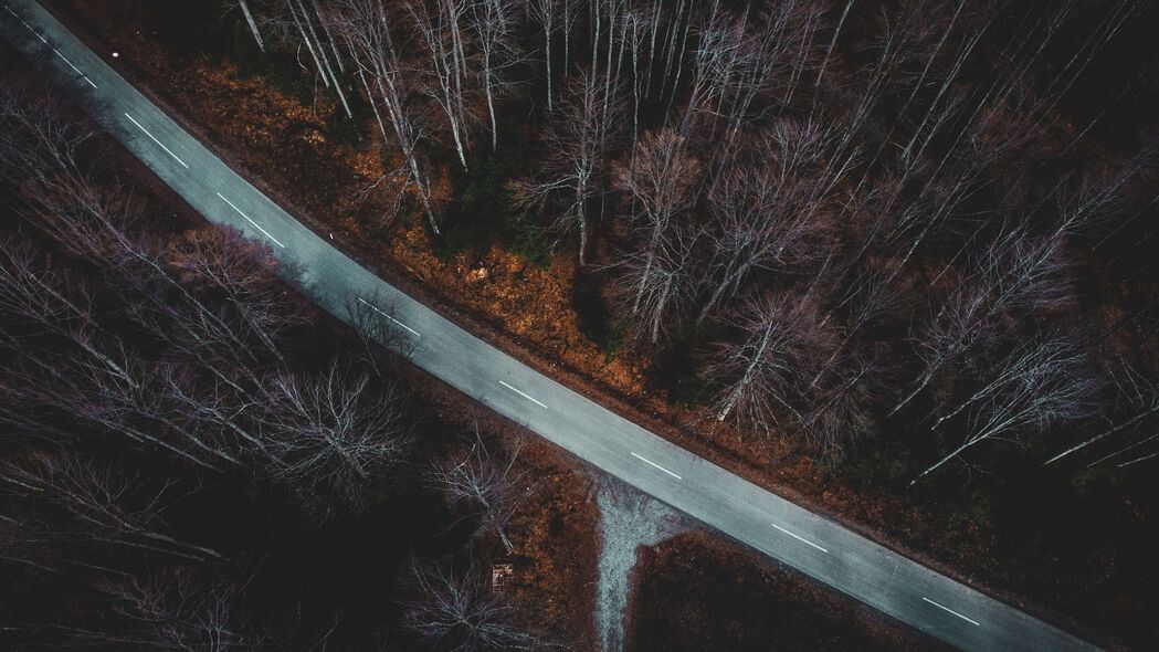 森林秋景鸟瞰，高清4K树木树枝道路壁纸（3840x2160）下载