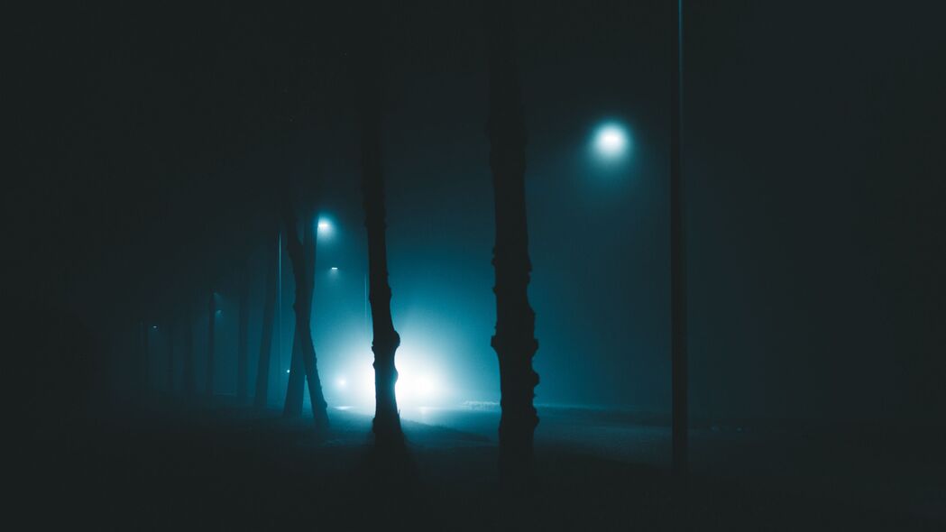 夜晚树木雾景，昏暗灯光包围下的4K超高清壁纸（3840x2160）免费下载