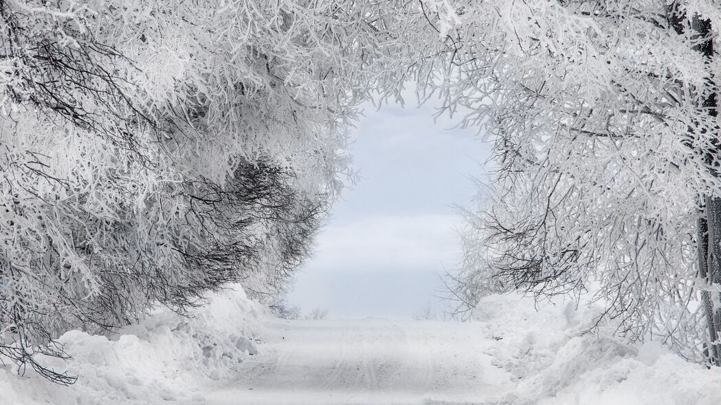冬日雪景，森林道路与霜覆树枝，高清4K拱门壁纸3840x2160下载