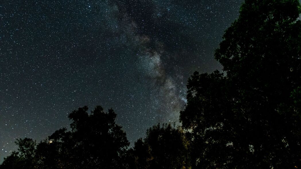 星空银河树木夜晚，绝美4K壁纸，高清3840x2160背景图片下载