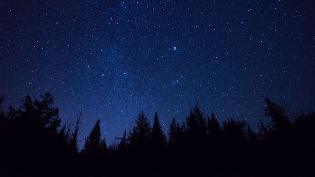 星空冷杉树夜晚轮廓，高清4K壁纸，3840x2160精美背景图片下载