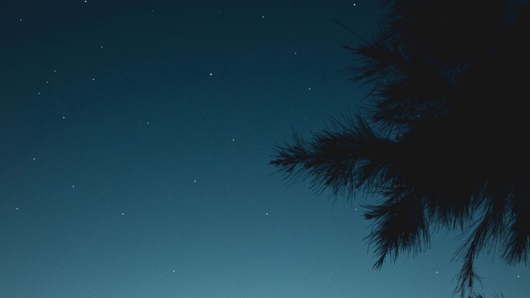 分支星空，绝美夜晚4K壁纸，3840x2160高清风景图片下载