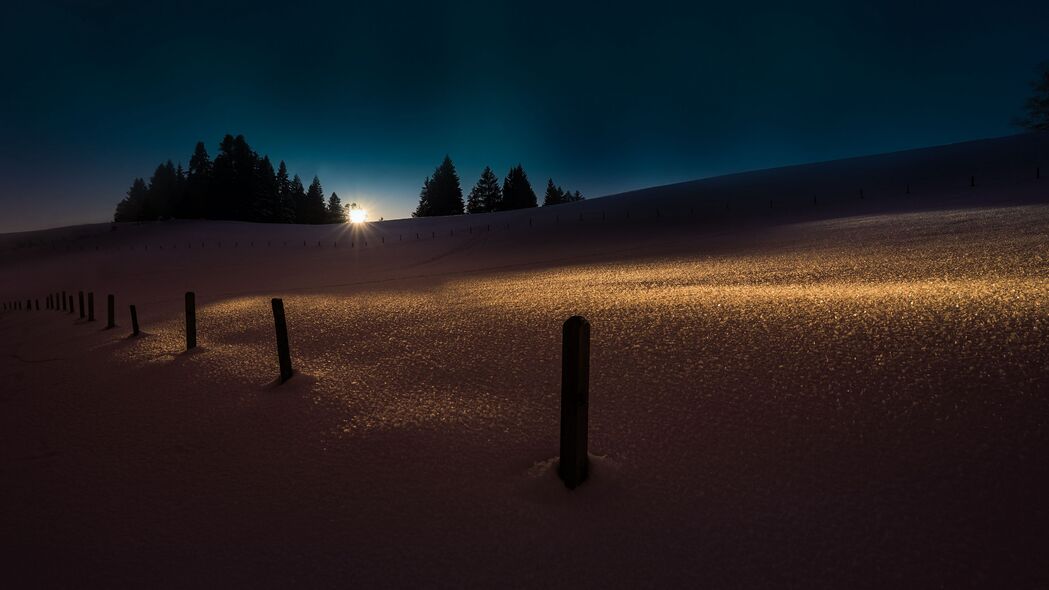 冬季雪夜浅色树木美景，4K高清壁纸3840x2160，免费下载