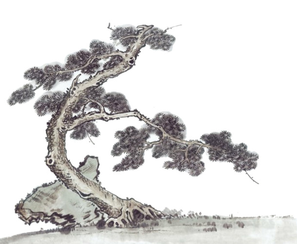 松树PNG高清透明图，装饰元素与墨迹笔触设计素材，一键下载