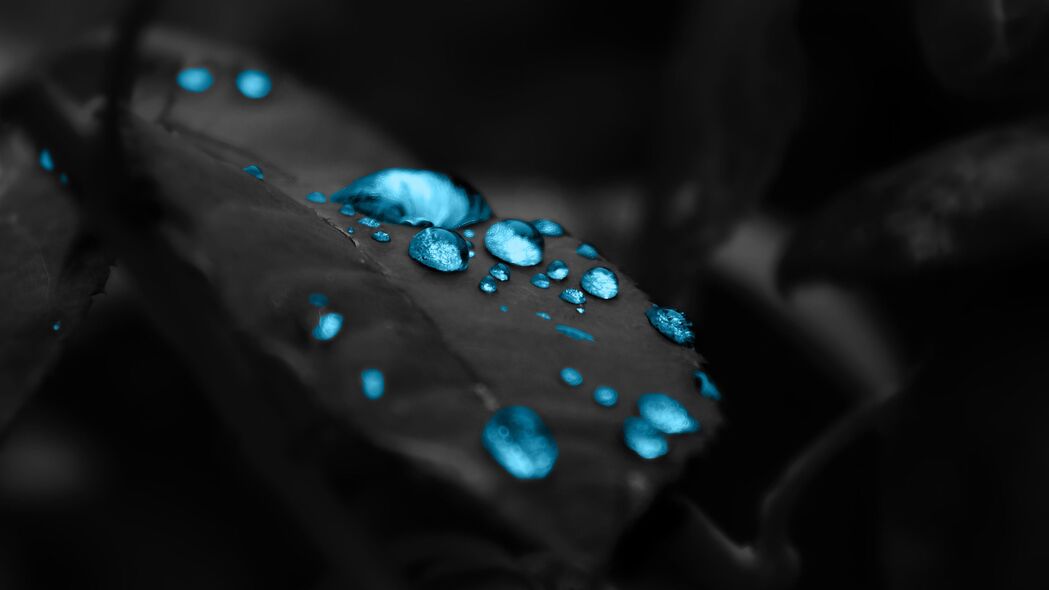滴露凝叶，刷子轻触，高清4K露水壁纸3840x2160，绝美背景图片下载