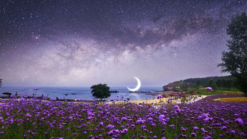月亮星空海滩银河花朵绝美融合，4K超高清3840x2160风景壁纸下载