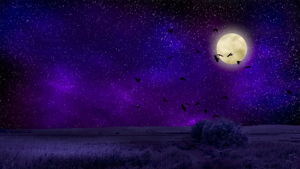 3840x2160高清壁纸，满月星空下的鸟类夜晚，绝美4K风景图片