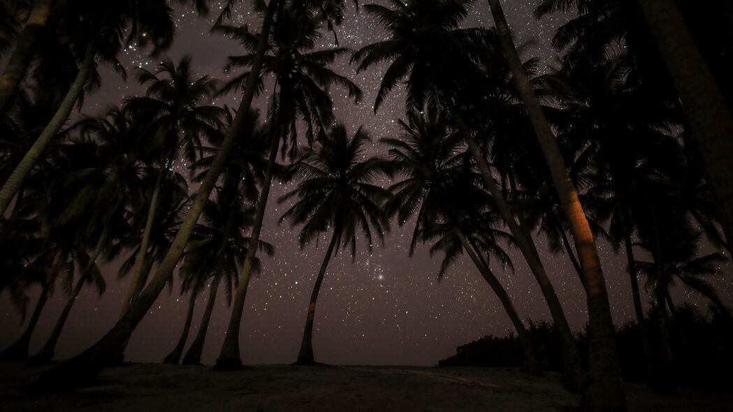 棕榈树星空下的马尔代夫，绝美热带夜景，4K高清壁纸（3840x2160）下载