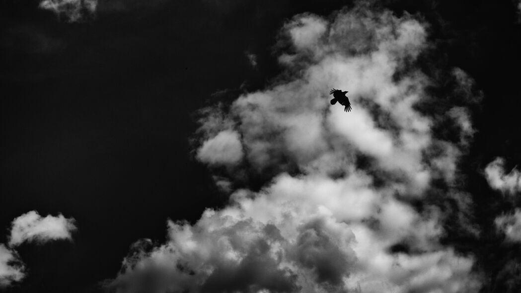 4K高清壁纸，黑白飞鸟掠过云端，广阔天空下的极致美景 - 3840x2160分辨率，免费下载