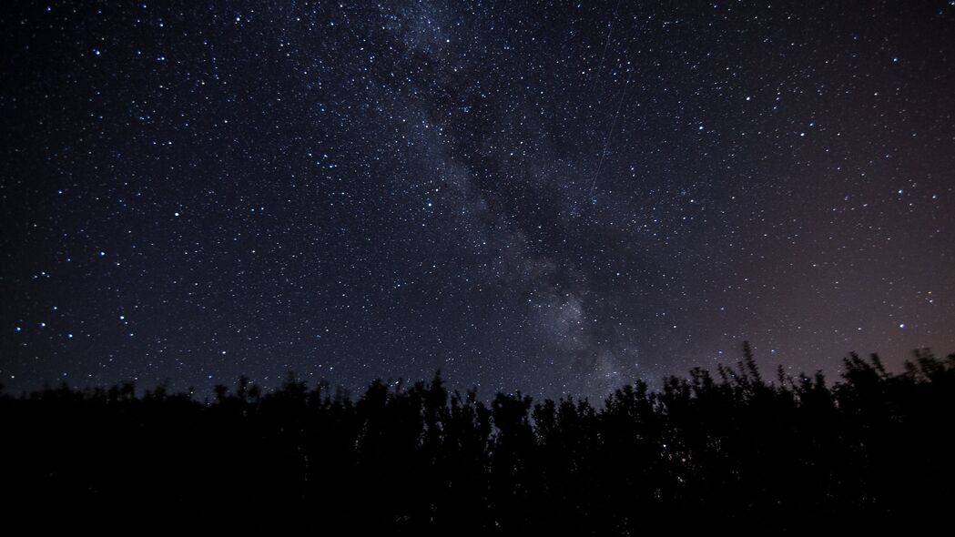 星空银河之夜，树木隐匿于黑暗中，光泽闪耀的4K超高清壁纸下载（3840x2160）