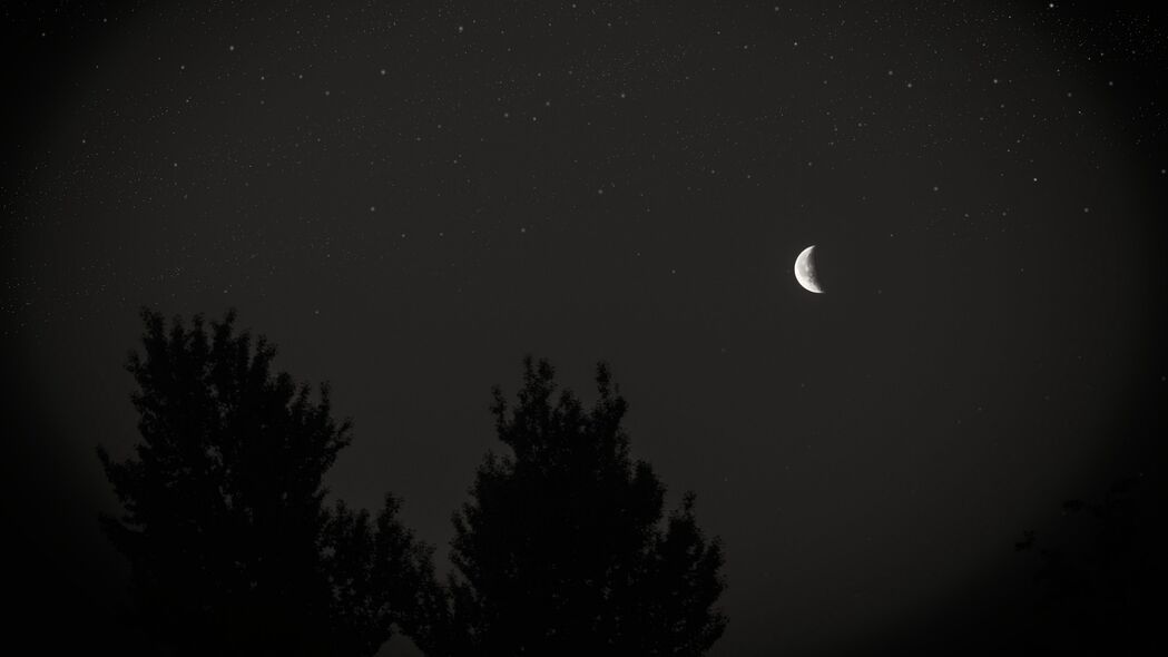 高清4K壁纸，月亮、星星点亮深邃夜空，树木轮廓映衬，3840x2160分辨率下载