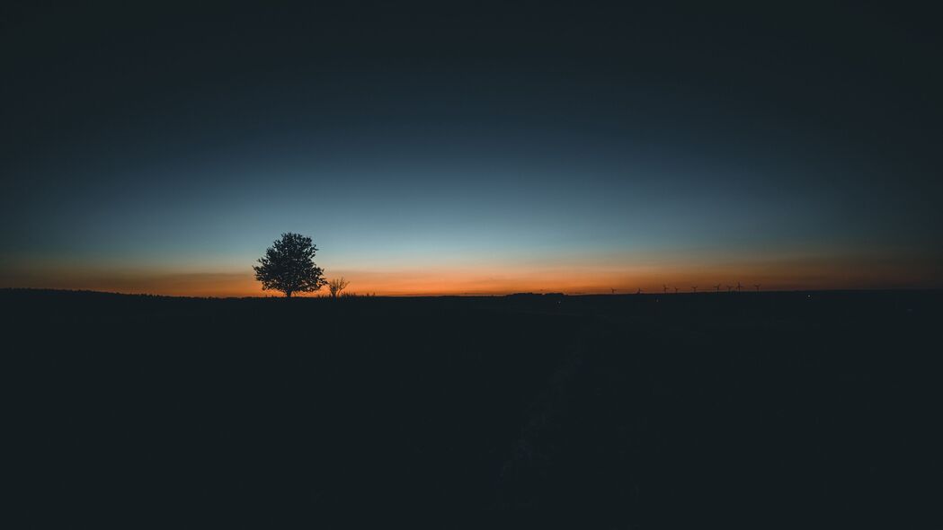 树与地平线交汇，极简日落4K壁纸，高清3840x2160背景图片下载