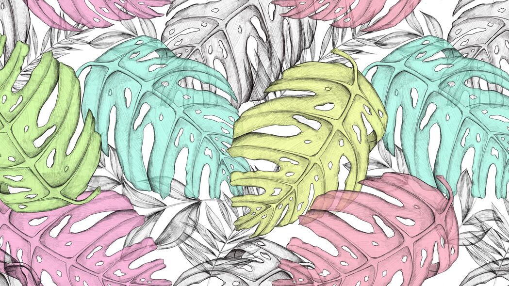 Monstera树叶艺术，惊艳4K壁纸，高清3840x2160背景图片下载