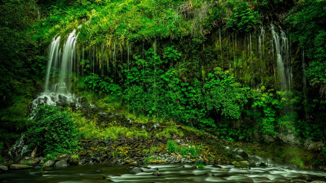 瀑布绿意盎然，加利福尼亚植被苔藓草地4K高清壁纸（3840x2160）下载