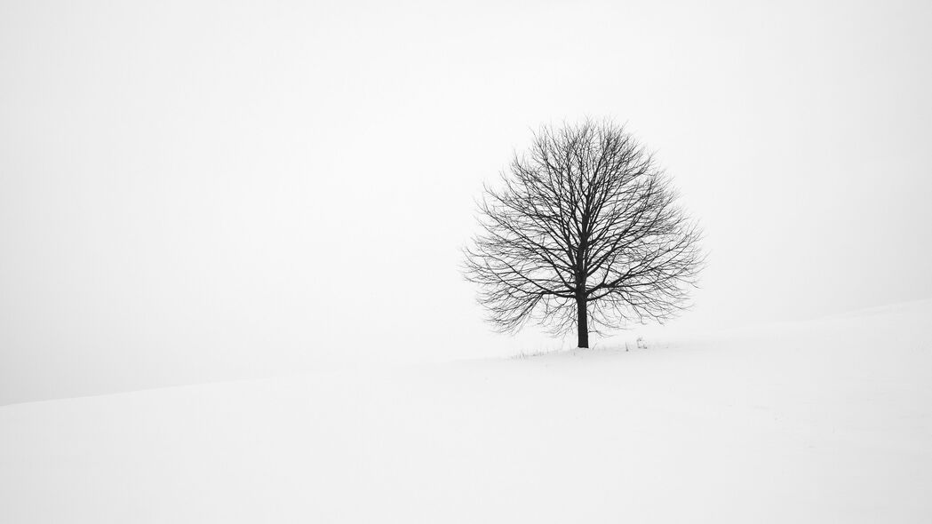 极简黑白冬雪4K壁纸，高清3840x2160分辨率，自然雪景极致美图下载