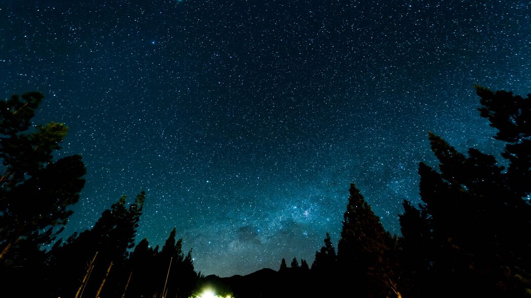 星空森林4K壁纸，夜晚星星与绚丽星云，高清3840x2160背景图片下载