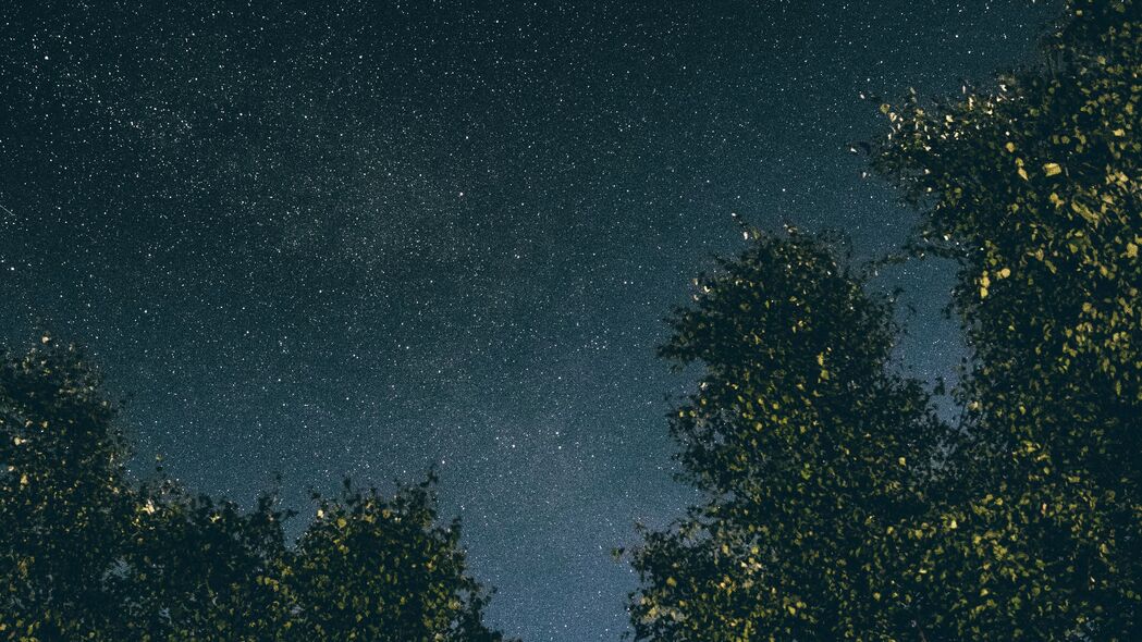 星空之夜，棵树下的璀璨星星，4K高清壁纸（3840x2160）免费下载