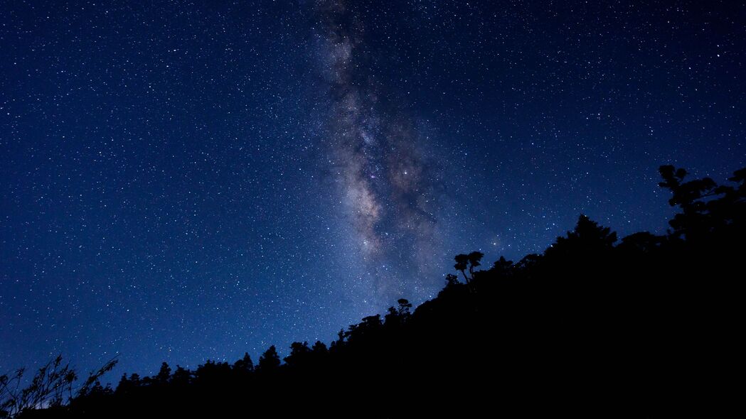 银河星空树木绝美融合 4K超高清壁纸 3840x2160免费下载