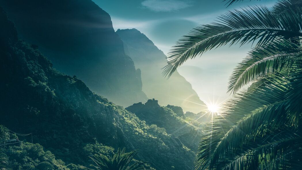 棕榈树映山脉，阳光洒满天，4K高清壁纸，3840x2160美景尽享下载