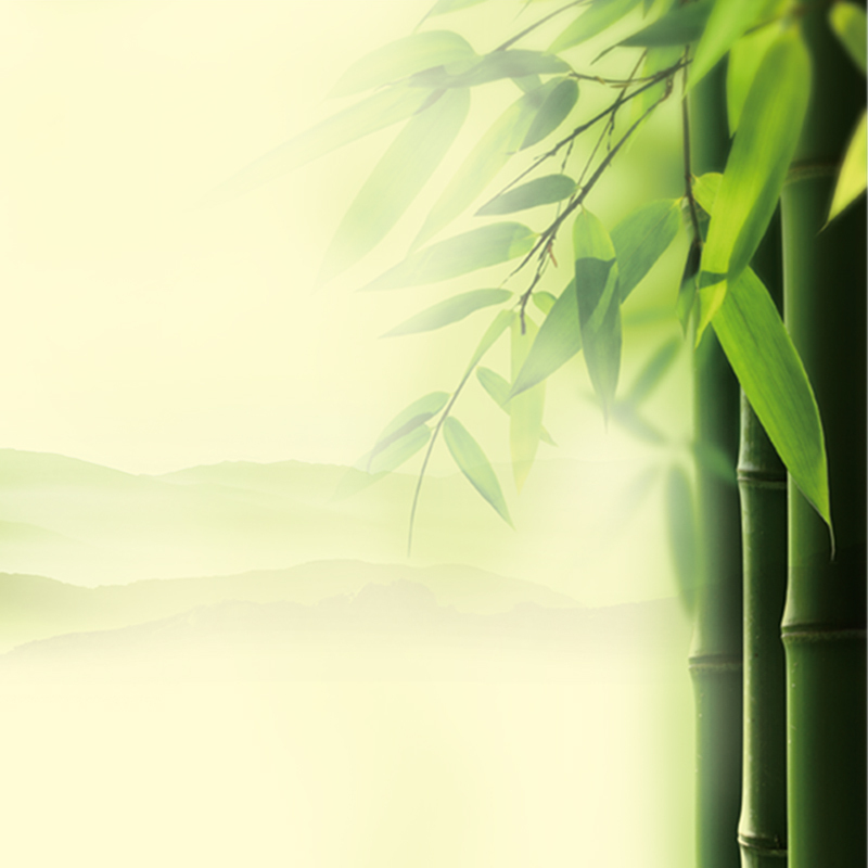 竹子清新背景图片下载，高清JPG与文艺PSD设计素材