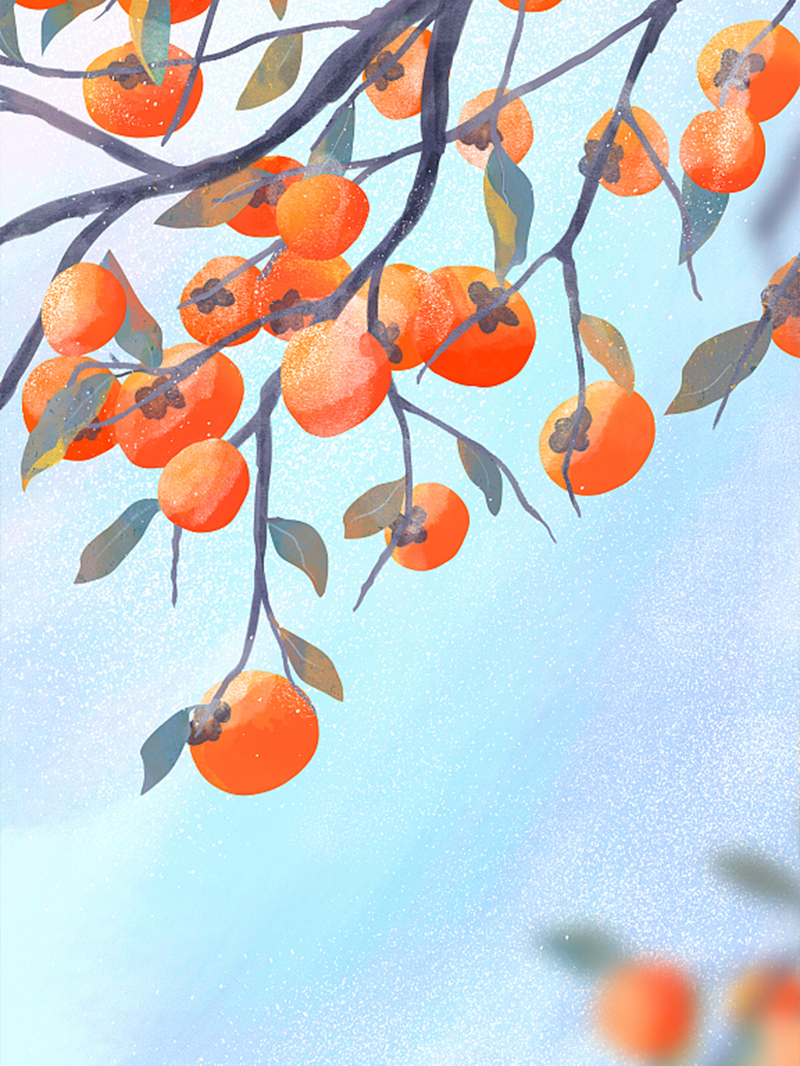 寒露柿子插画背景图，高清JPG+卡通手绘PSD，设计素材一键下载
