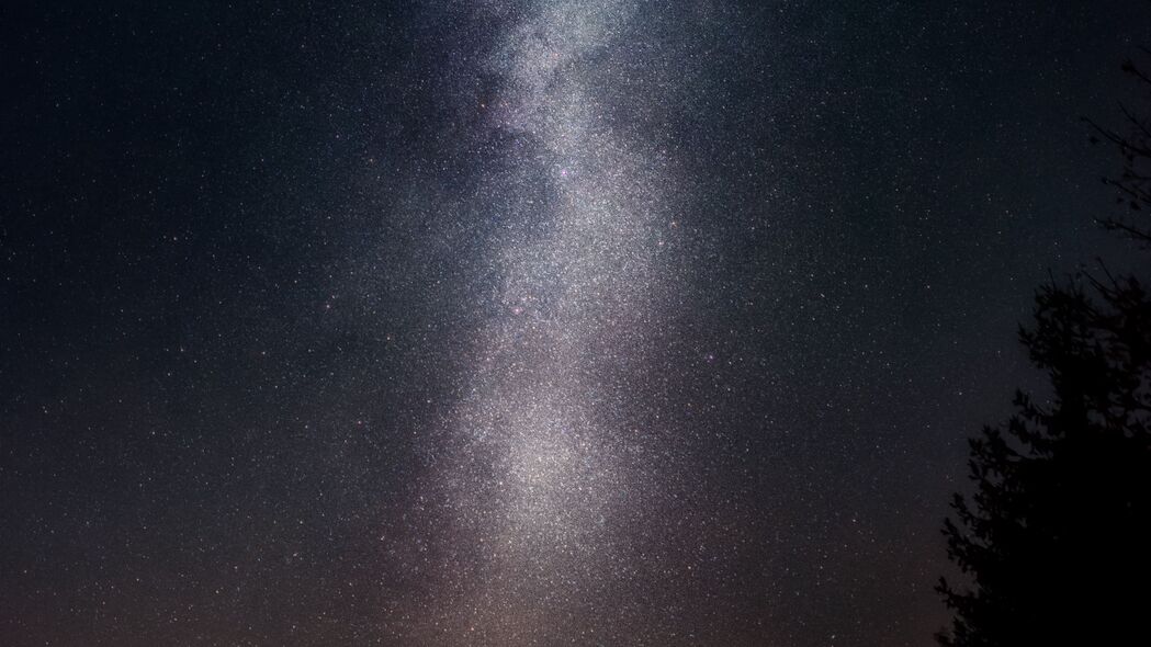 星空之夜，璀璨星星映衬下的树影，4K高清壁纸（3840x2160）免费下载