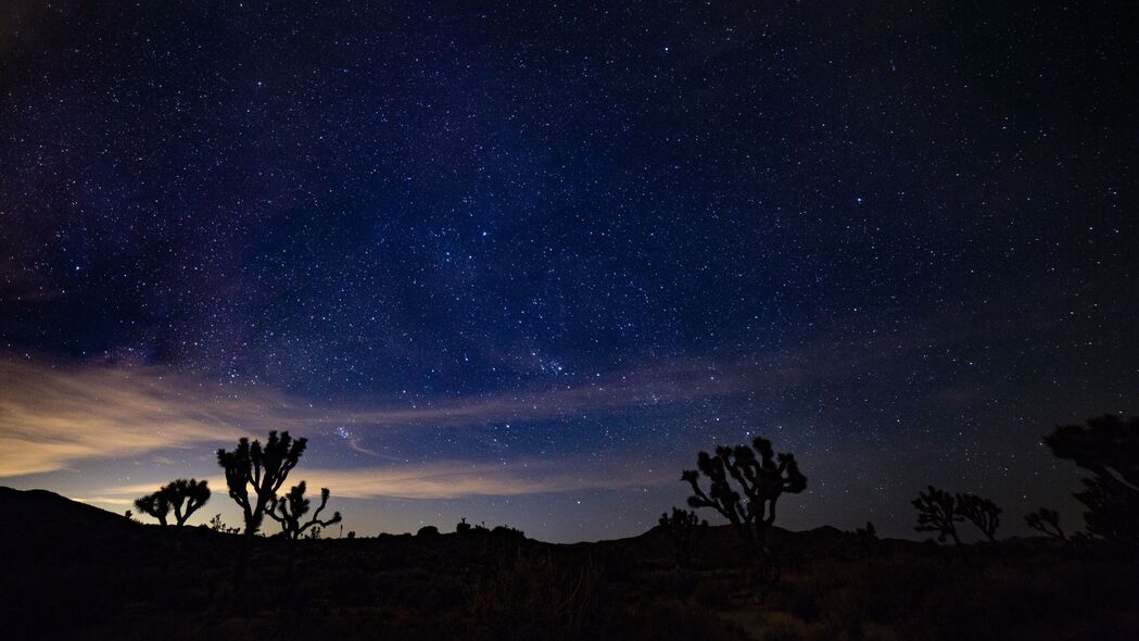 星空脊椎灌木，夜间4K超高清风景壁纸3840x2160免费下载