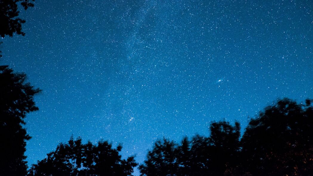 星空树木，璀璨星夜，辐射之美！3840x2160超高清4K壁纸下载