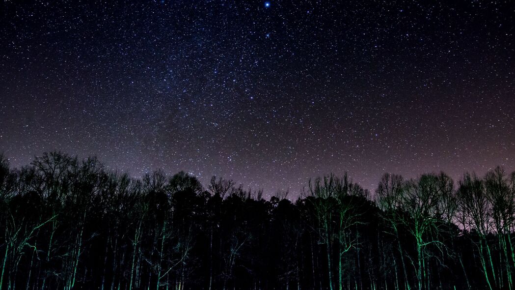 星空璀璨映树木，夜晚闪耀4K壁纸，高清3840x2160风景图片下载