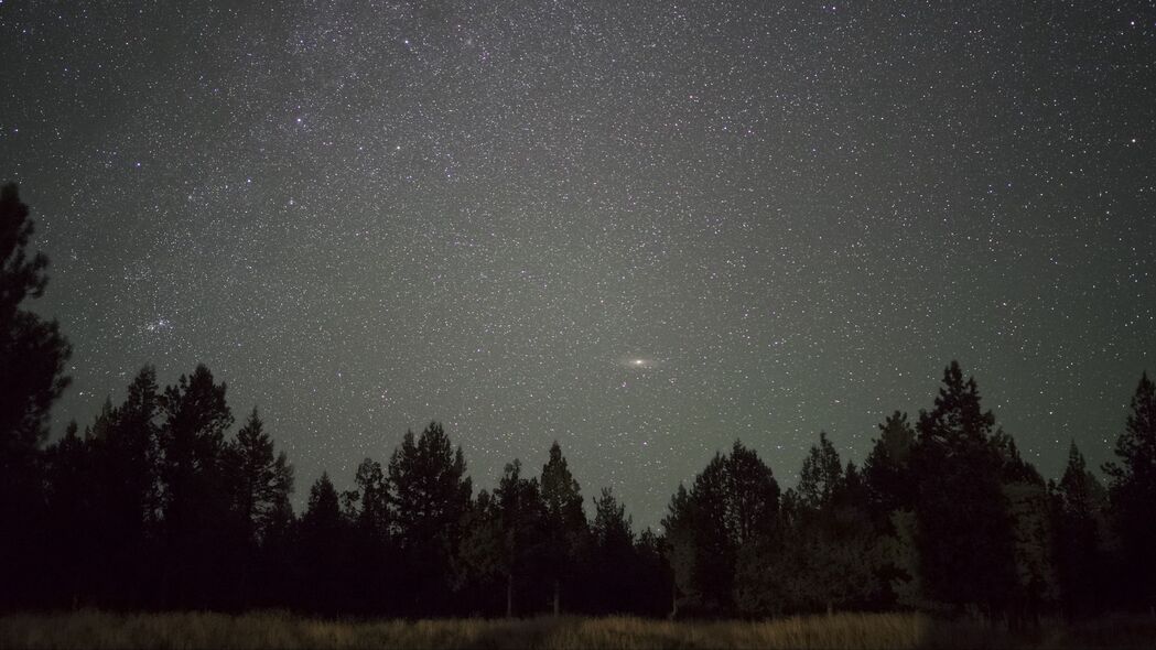星空之夜，树木映地平线绝美4K壁纸，3840x2160高清风景图片下载