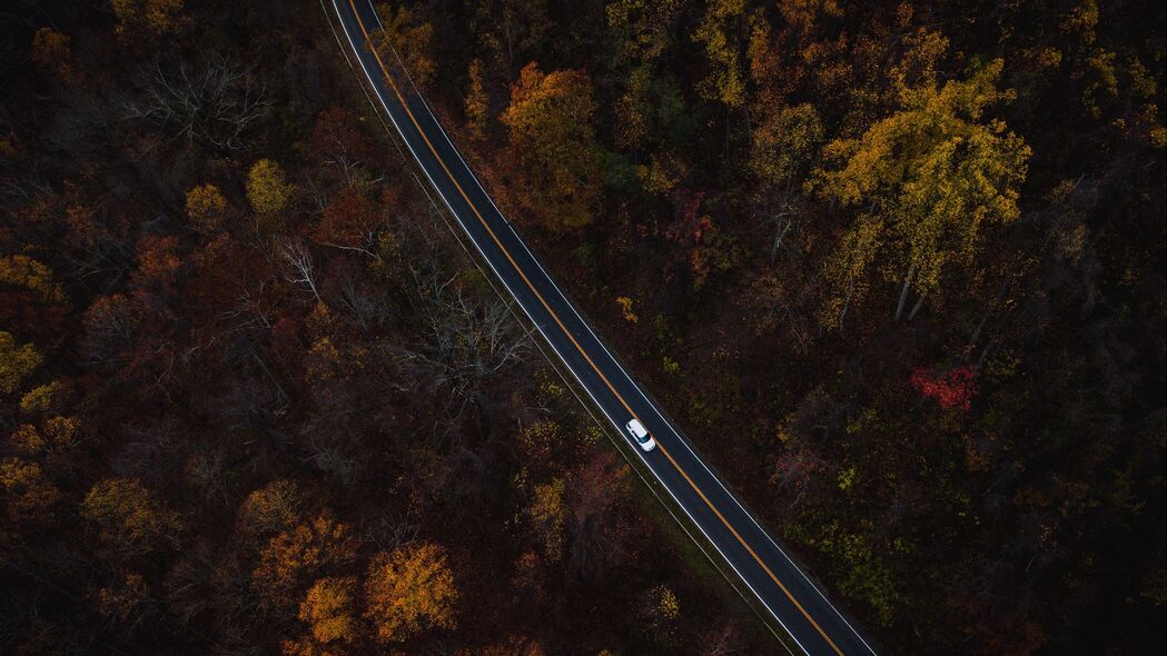 汽车疾驰道路间，俯瞰绿意盎然，4K高清树木风景壁纸（3840x2160）免费下载