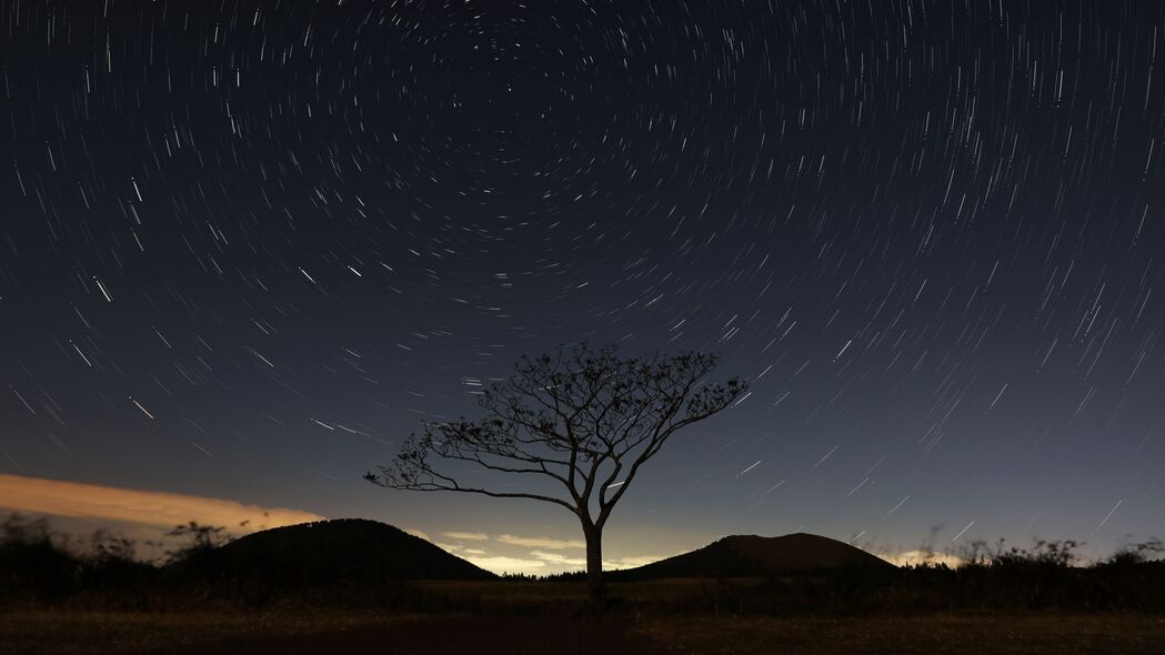 星空树影，夜间天空绝美4K壁纸，3840x2160高清风景图片下载