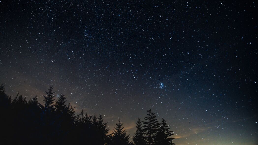 星空夜幕下的树木风景，夜间景观4K超高清壁纸（3840x2160）免费下载