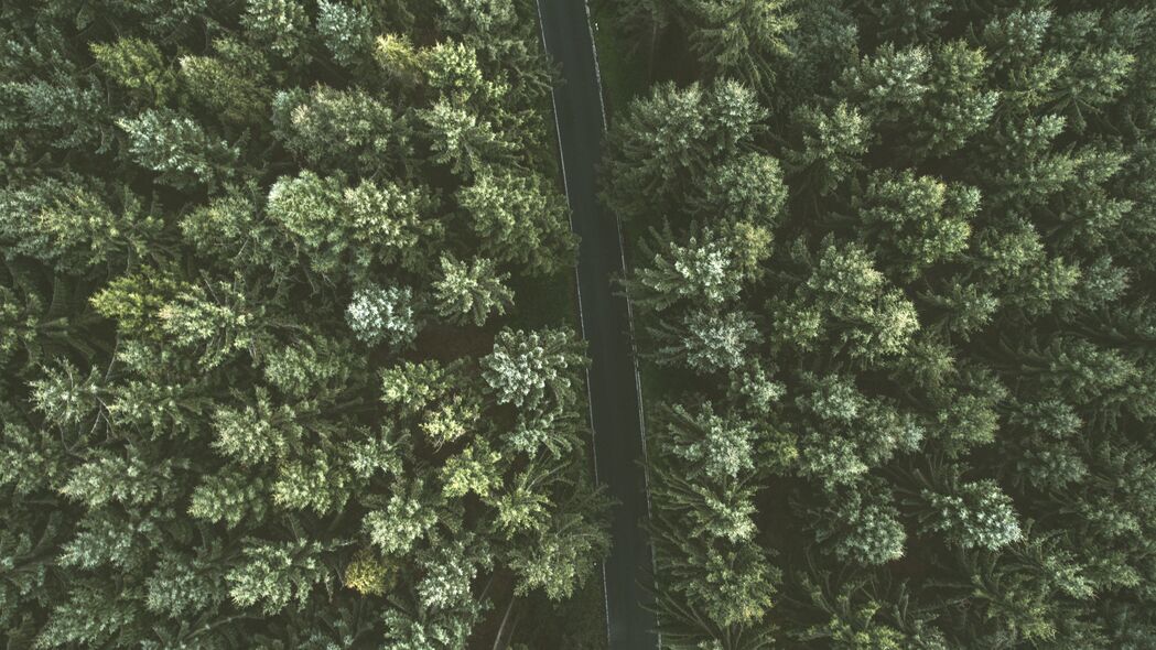 棵树道路高清4K壁纸，俯瞰美景，3840x2160超清下载