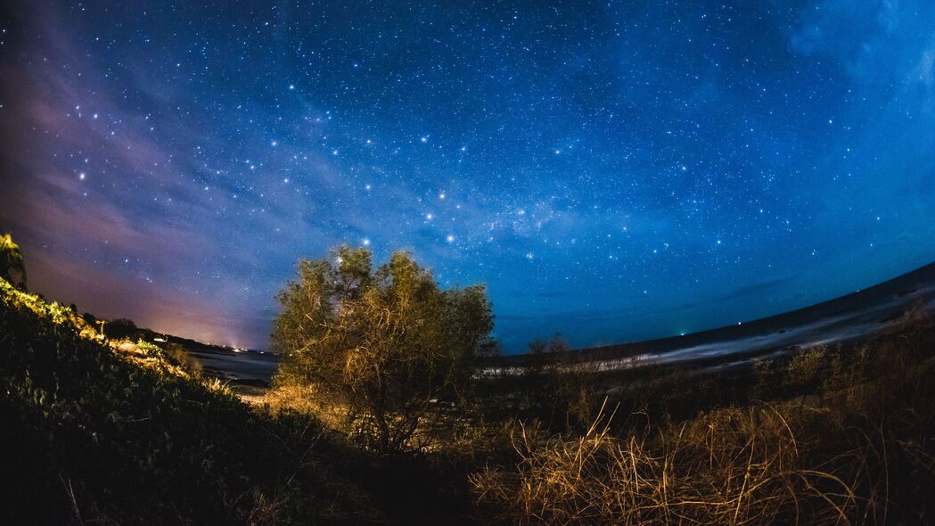 星空之树，绝美夜间4K壁纸，3840x2160高清风景图片下载