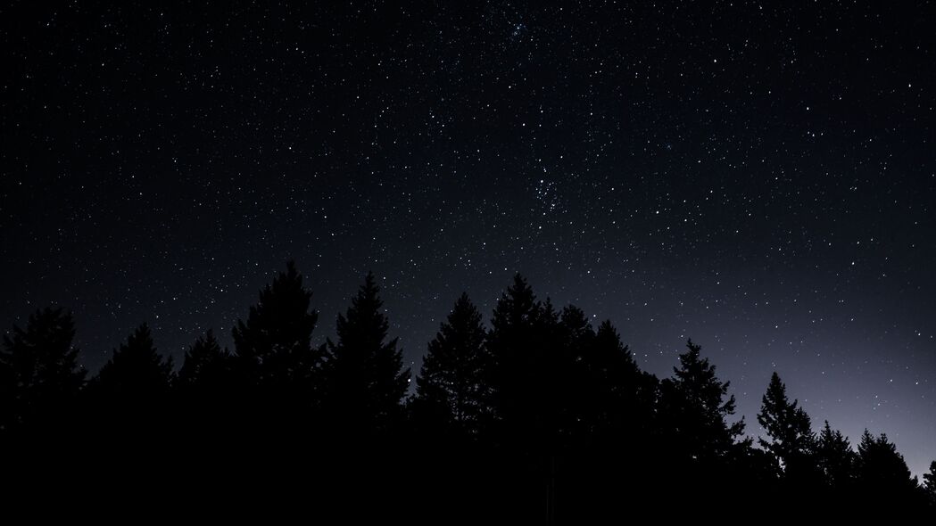 星空树木夜韵，辐射之美，4K超清壁纸（3840x2160高清下载）