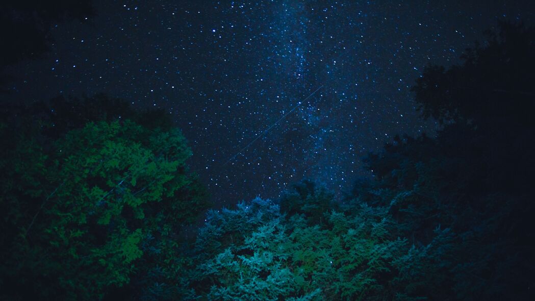 星空璀璨，星光点点，夜晚树木美景4K壁纸，3840x2160高清背景图片下载