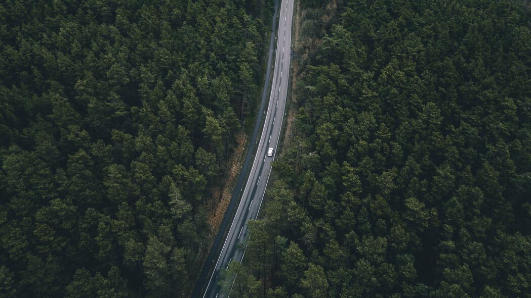 道路绿意俯瞰，树木簇拥4K超高清壁纸（3840x2160）免费下载