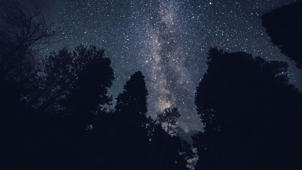 星空之美，夜晚繁星映树木，超清4K壁纸（3840x2160）免费下载