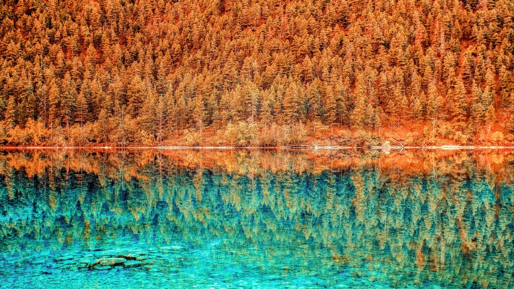 湖景映树，HDR 4K超高清壁纸，3840x2160分辨率，下载欣赏绝美风景