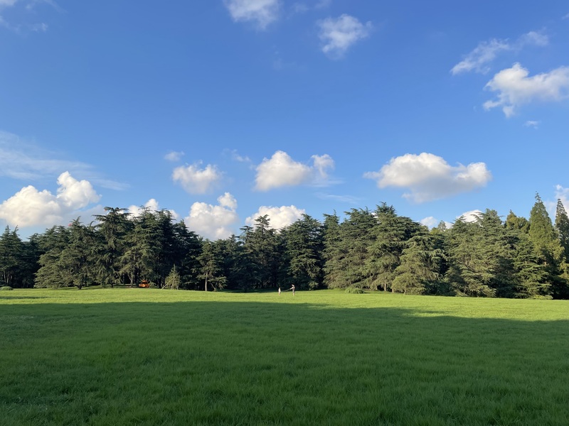 蓝天草地灌木摄影佳作，高清JPG图片，风景设计素材免费下载