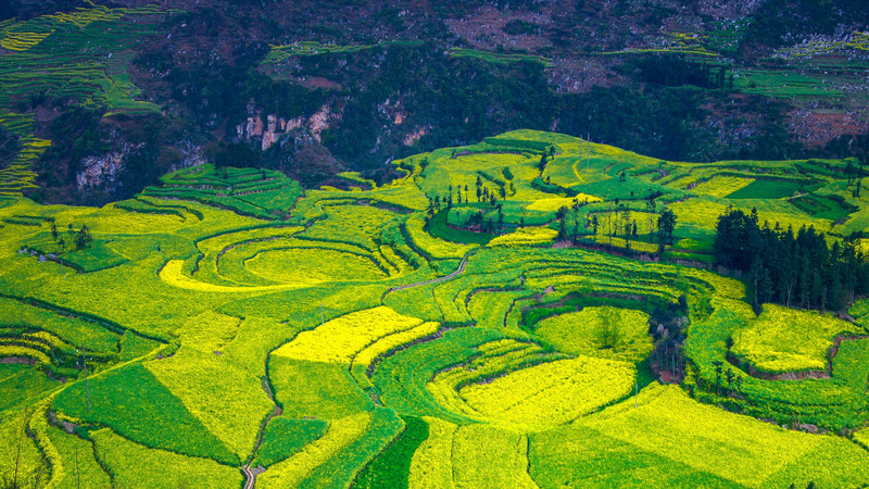 绿色梯田生态美景，高清JPG图片与PSD设计素材，一键下载