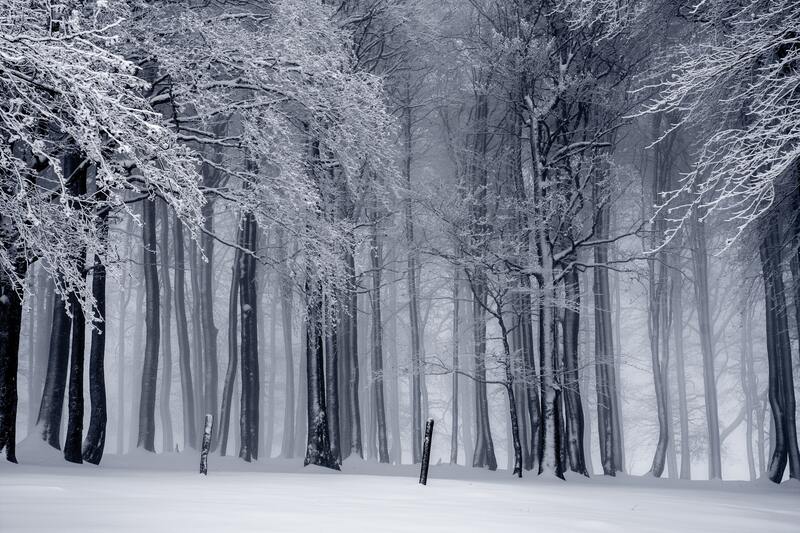 唯美雪地风光JPG图片，高清摄影素材，风景设计下载