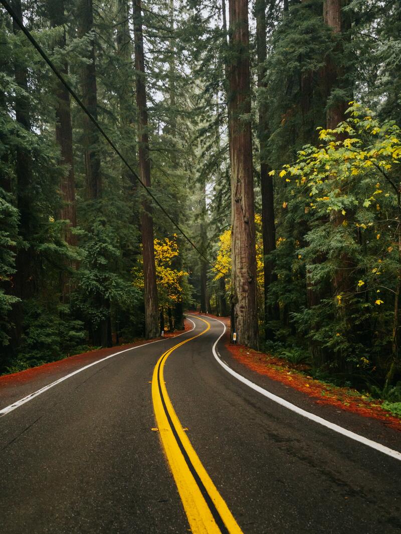 森林公路高清摄影背景，JPG/PSD设计素材，一键下载