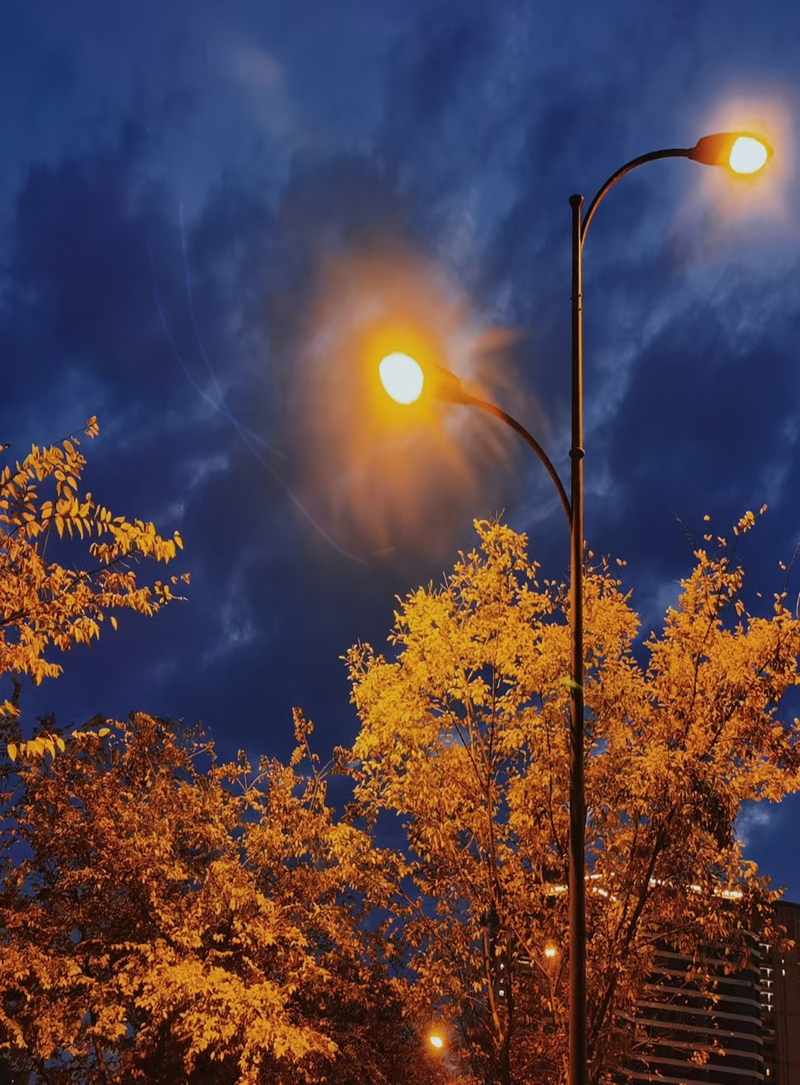 夜晚深蓝星空昏黄路灯美景，高清JPG图片摄影，创意风景设计素材下载