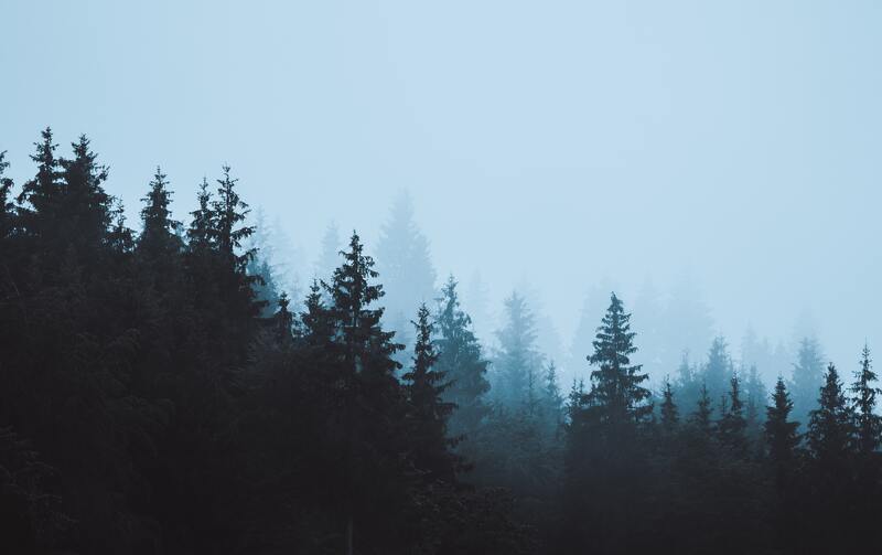 雾凇松树高清摄影背景，JPG/PSD素材下载，风光摄影必备