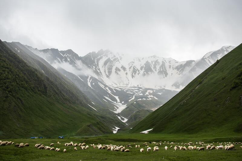 草地河流羊群绝美风光，高清JPG图片摄影，风景设计素材一键下载