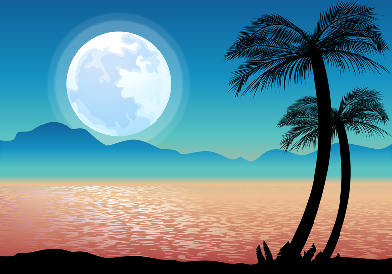 夜晚海滩矢量背景，高清JPG摄影/AI设计素材下载