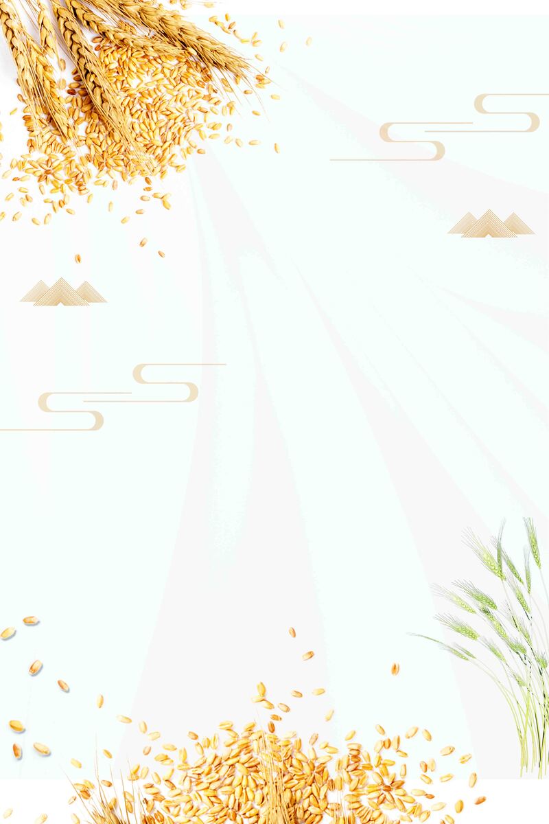创意简约小满节气海报，复古中国风JPG/PSD素材，高清下载